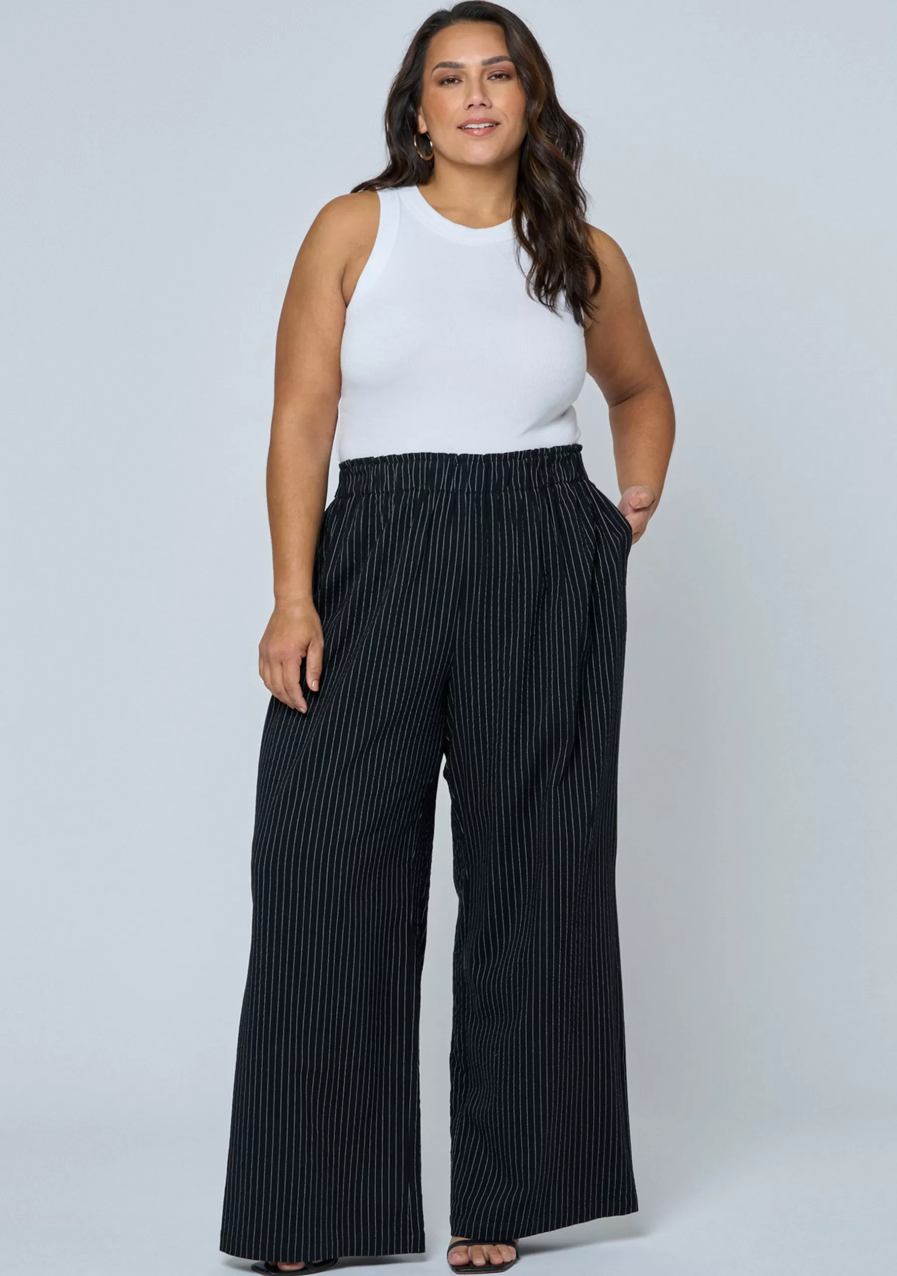 Curve Project Pants>Arabella Pinstripe Pant