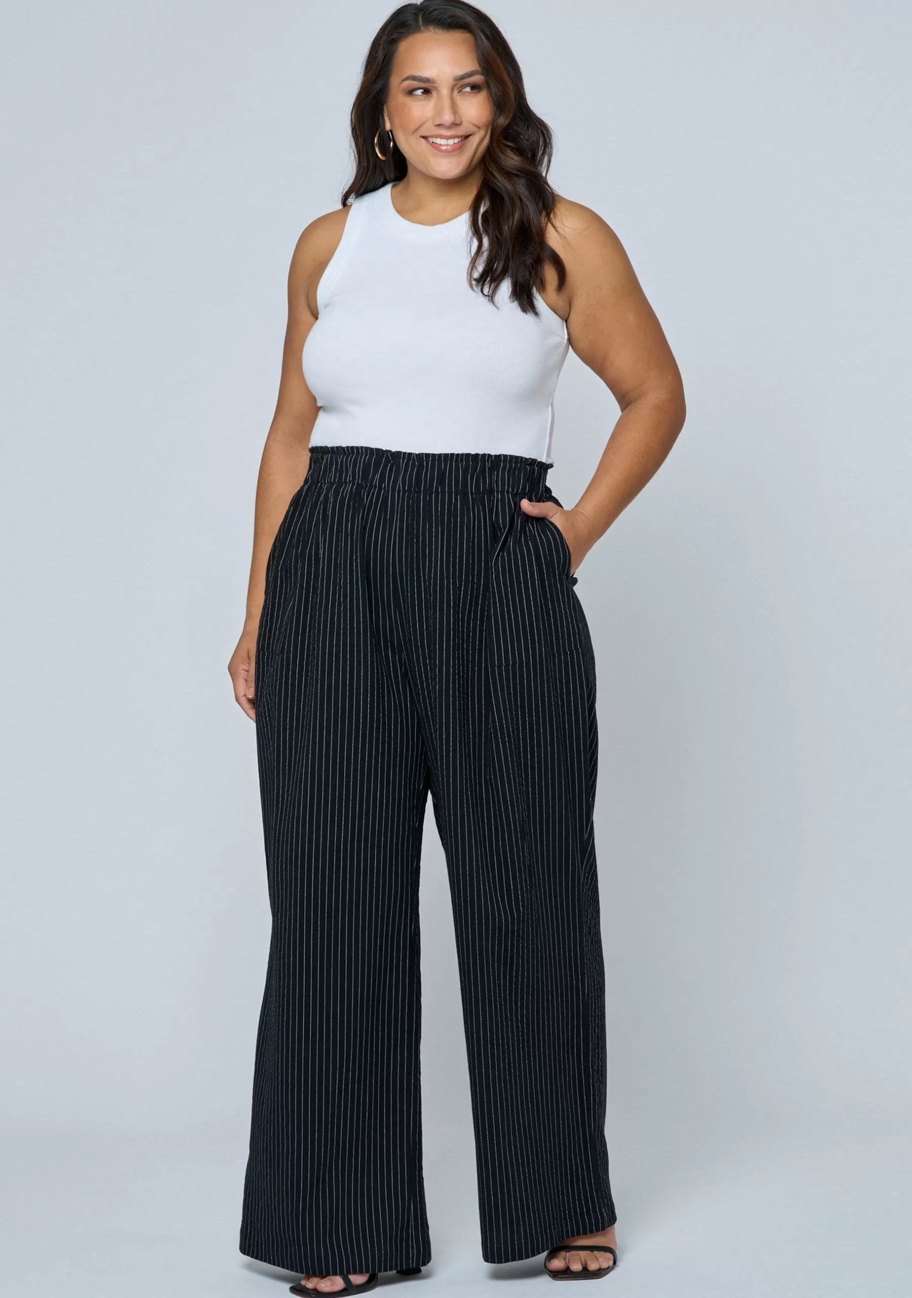 Curve Project Pants>Arabella Pinstripe Pant