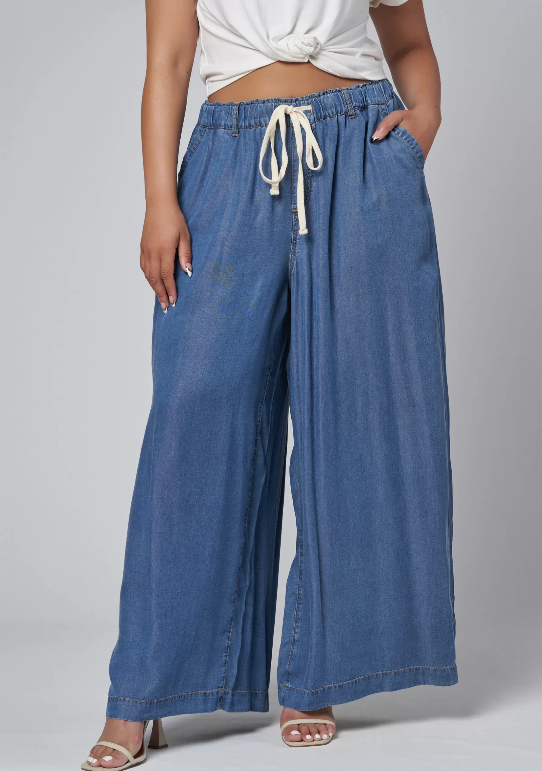 Curve Project Denim | Pants>Blake Chambray Wide Leg Pants