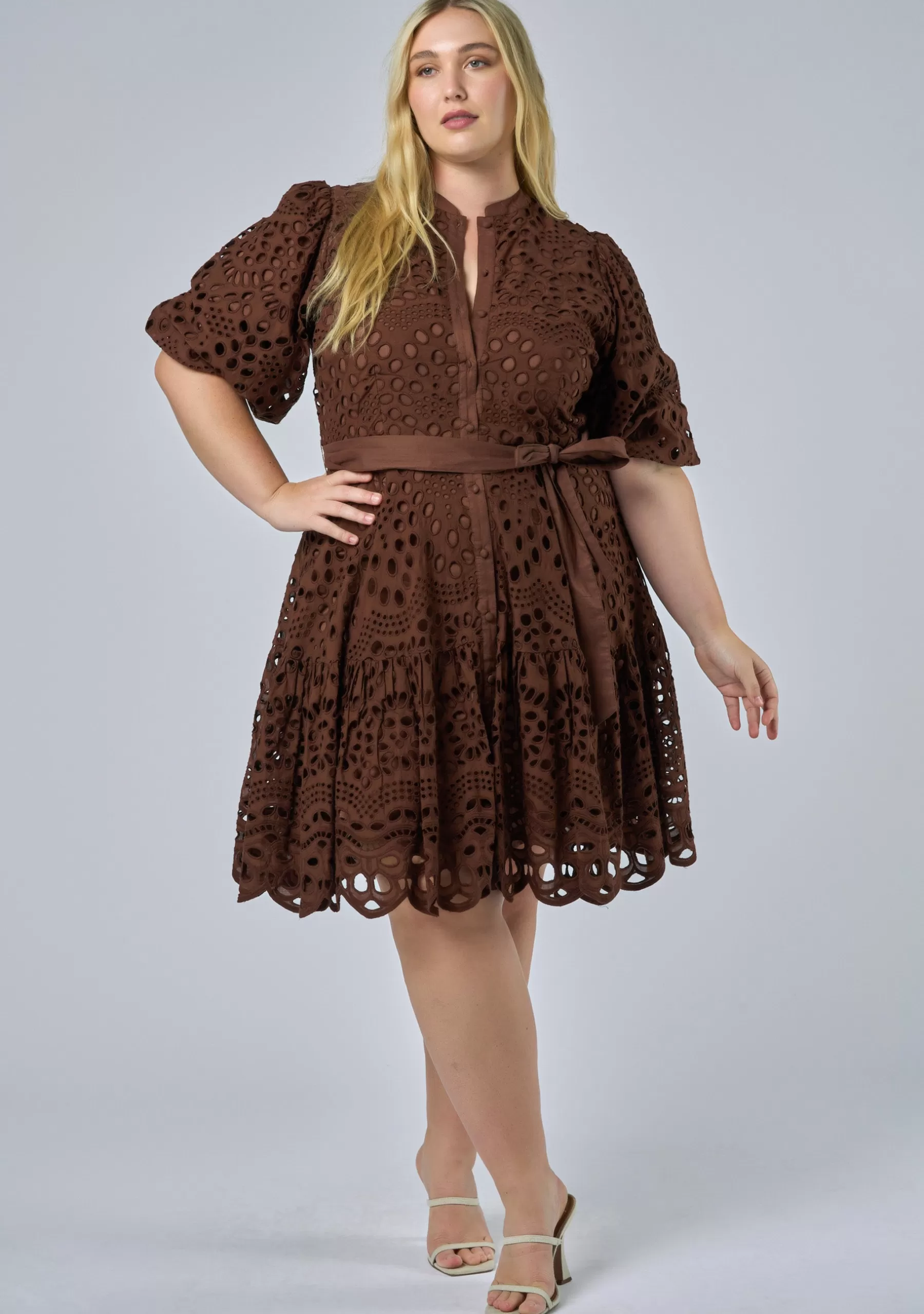 Curve Project Mini Dresses>Claudia Broderie Dress