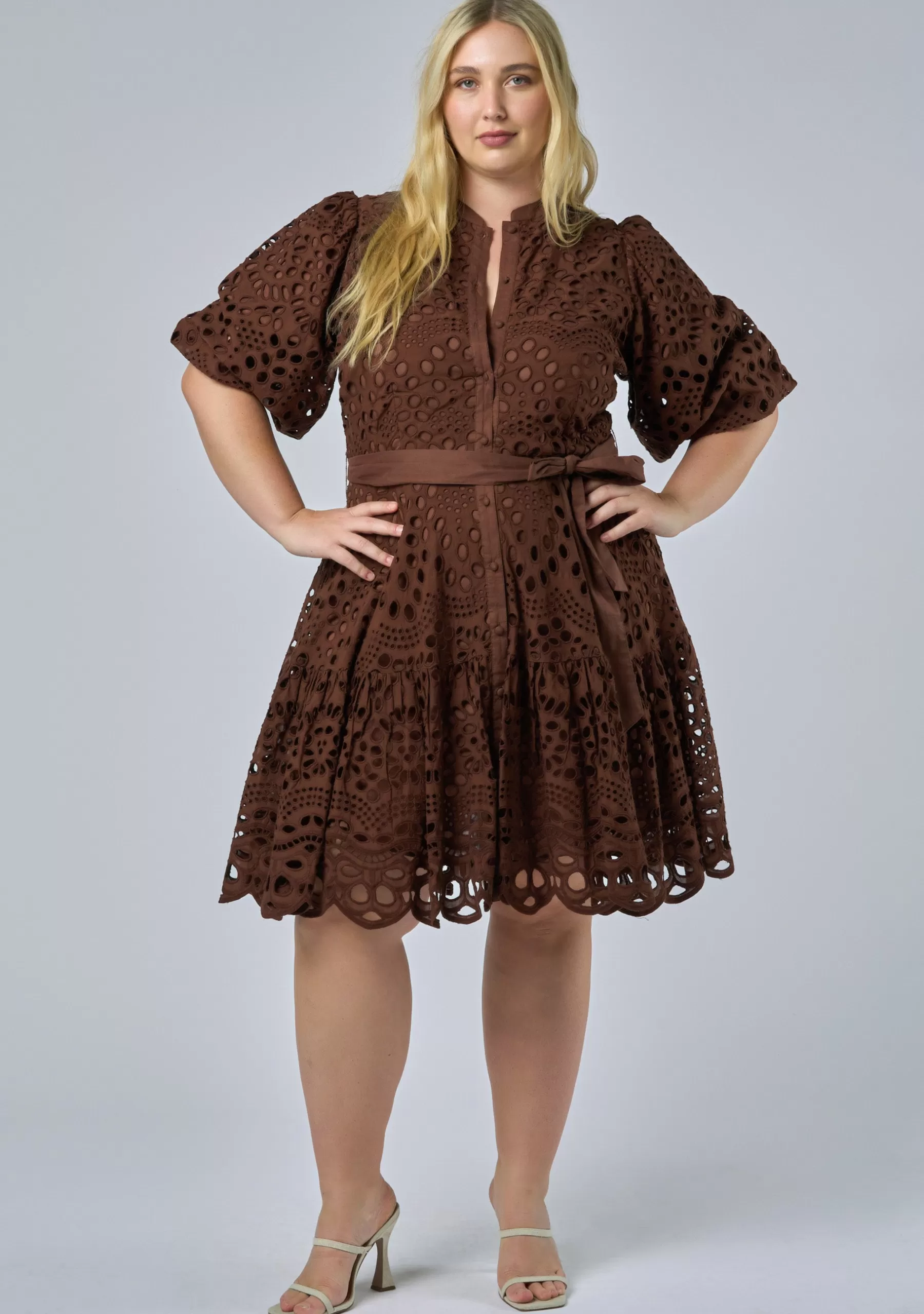 Curve Project Mini Dresses>Claudia Broderie Dress