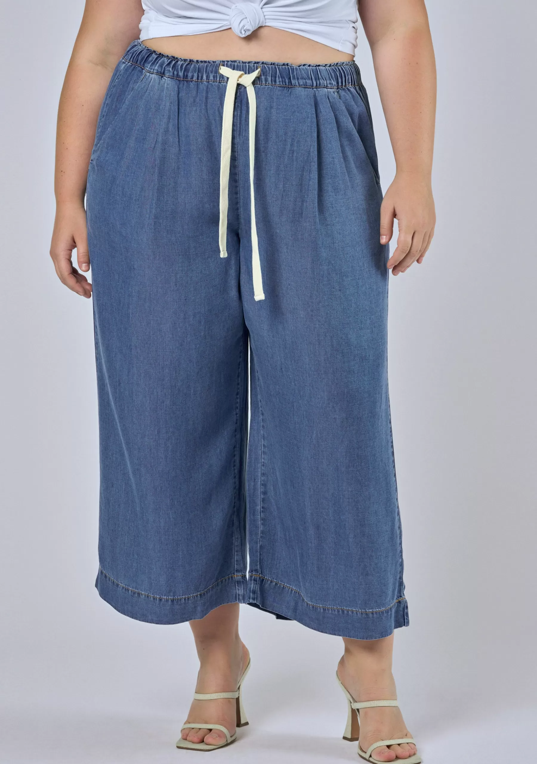 Curve Project Denim | Pants>Cleo Chambray Crop Pant